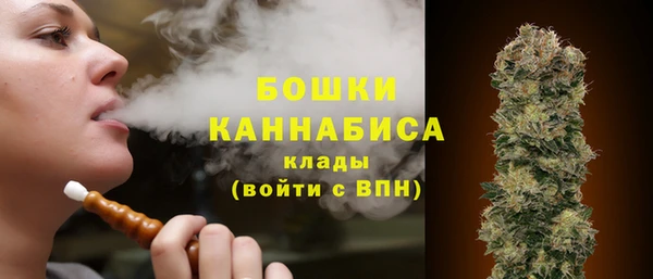 мдпв Бронницы