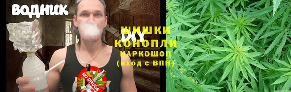 таблы Бородино